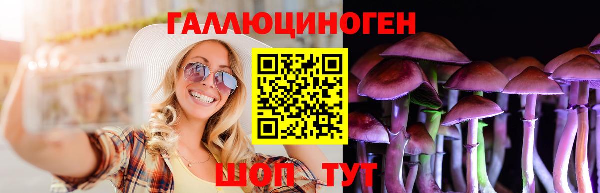 Галлюциногенные грибы Cubensis  Вход с VPN  Златоуст 